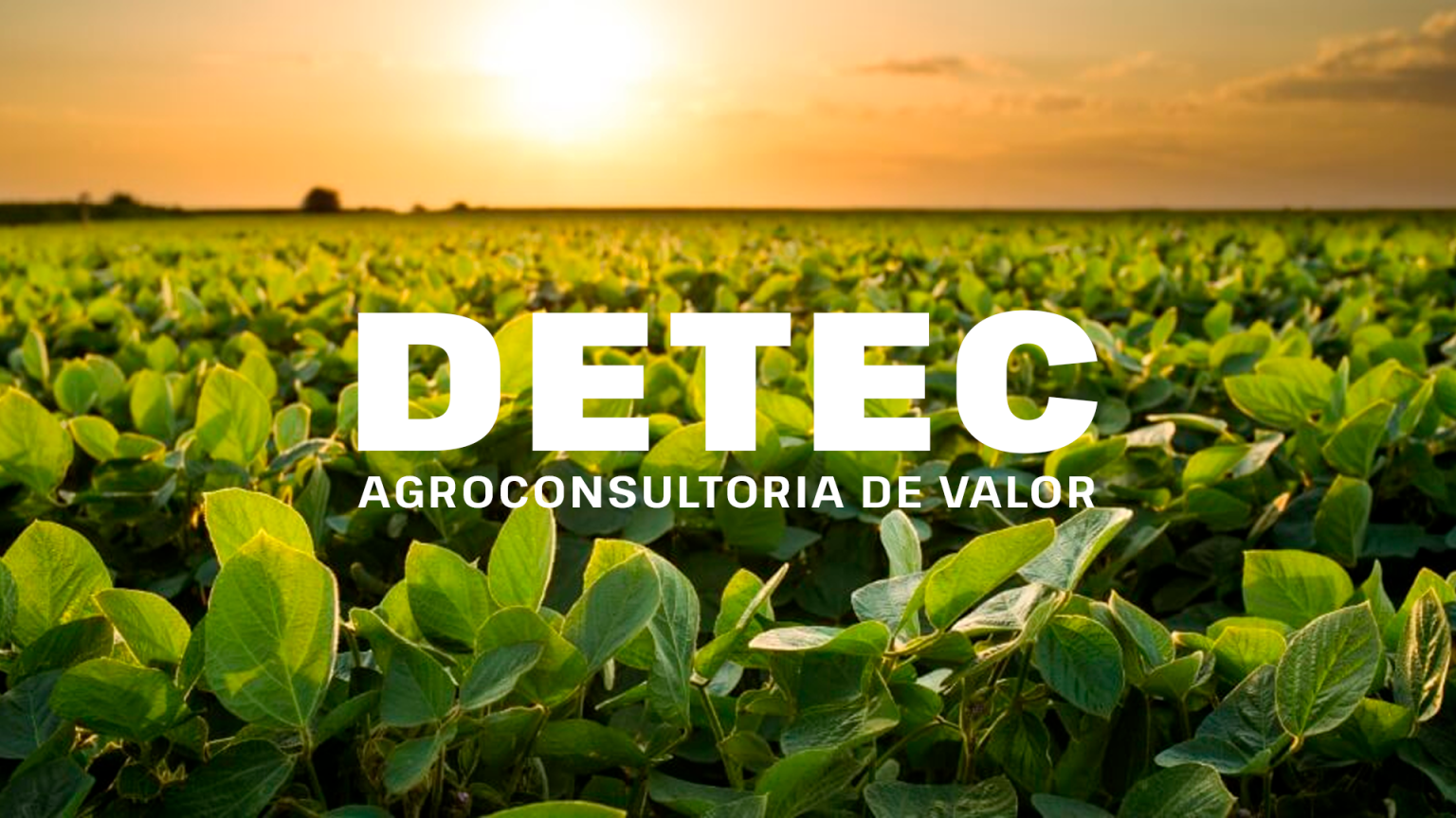 A Detec – Detec